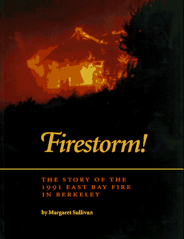 Book cover for Firestorm!