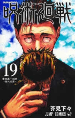 Book cover for Jujutsu Kaisen 19