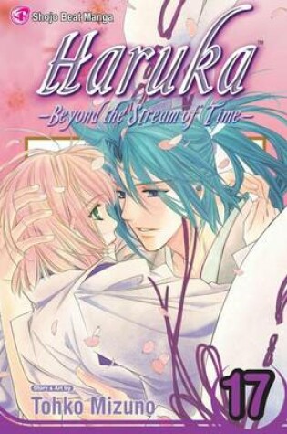 Cover of Haruka: Beyond the Stream of Time, Volume 17