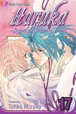 Cover of Haruka: Beyond the Stream of Time, Volume 17