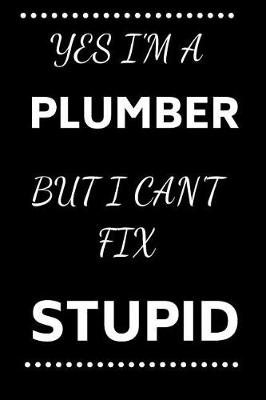 Book cover for Yes I'm A Plumber But I Can't Fix Stupid