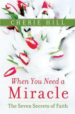 Cover of When You Need a Miracle