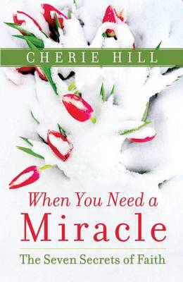 Book cover for When You Need a Miracle