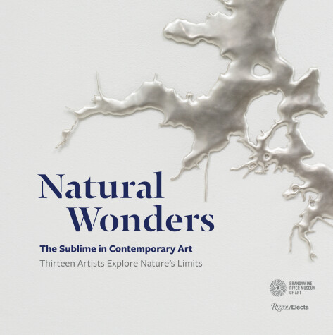 Book cover for Natural Wonders