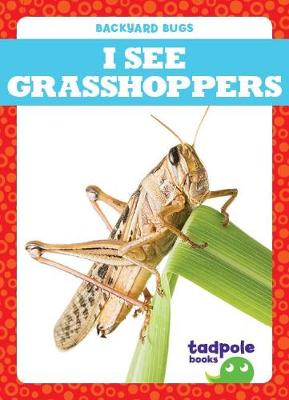 Book cover for I See Grasshoppers