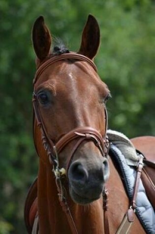 Cover of A Horse Ready for the Tournament Journal