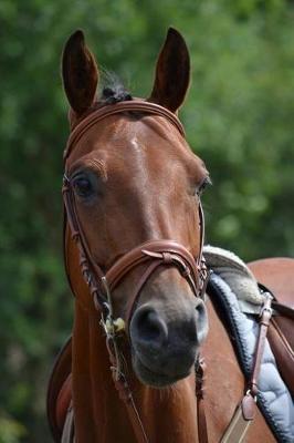 Book cover for A Horse Ready for the Tournament Journal