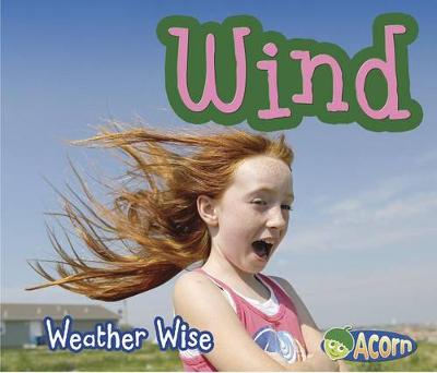 Book cover for Weather Wise Wind