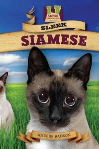 Cover of Sleek Siamese