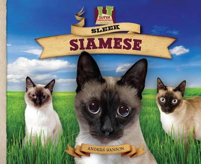 Book cover for Sleek Siamese