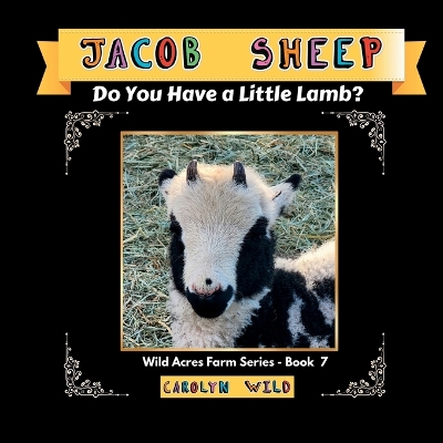 Book cover for Jacob Sheep