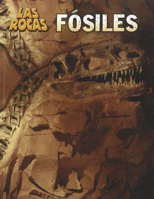 Book cover for Fósiles