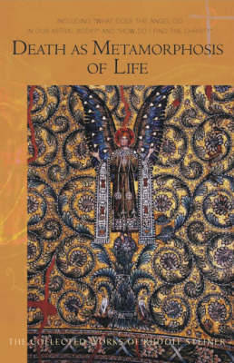 Book cover for Death as Metamorphosis of Life