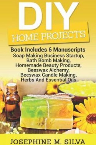 Cover of DIY Home Projects