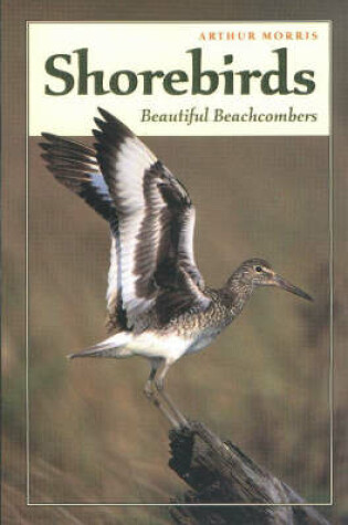 Cover of Shorebirds