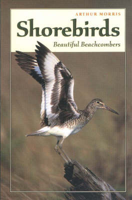 Book cover for Shorebirds