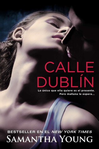 Book cover for Calle Dublín