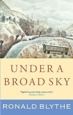 Book cover for Under a Broad Sky