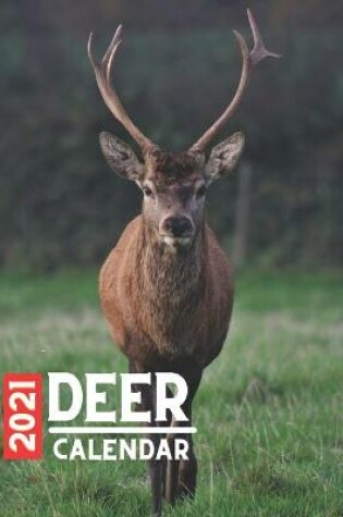 Cover of Deer Calendar 2021