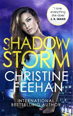 Book cover for Shadow Storm