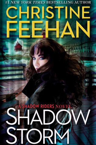Cover of Shadow Storm