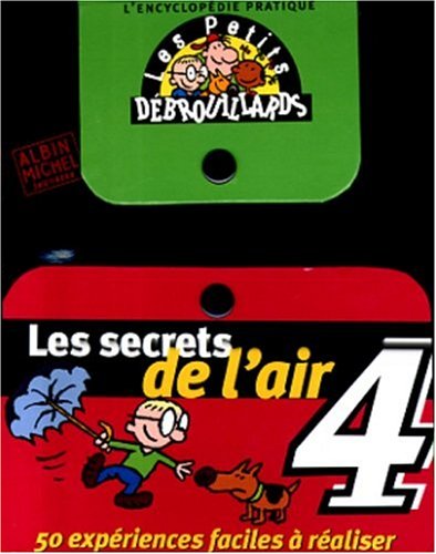 Book cover for Les Secrets de L'Air 4