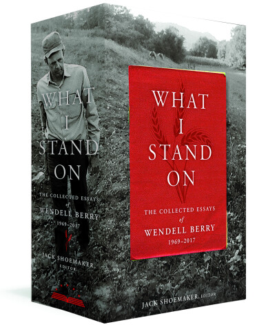 Book cover for What I Stand On