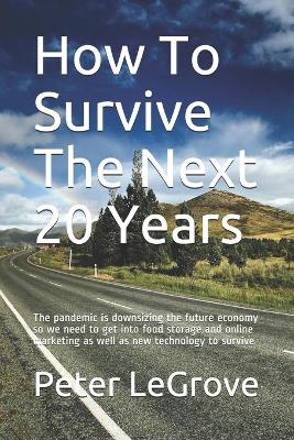 Book cover for How To Survive The Next 20 Years