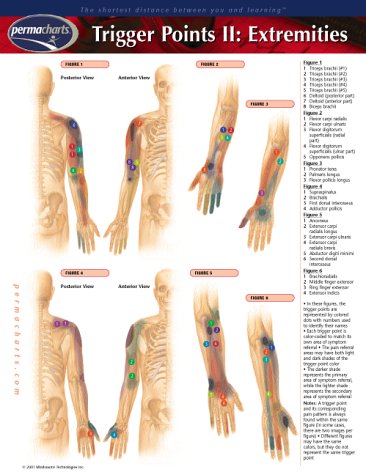 Book cover for Trigger Points II