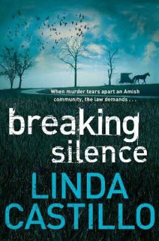 Cover of Breaking Silence