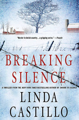 Book cover for Breaking Silence