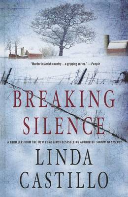 Cover of Breaking Silence