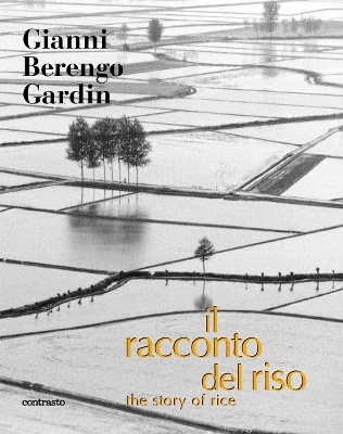 Book cover for Il Racconto del Riso: An Italian Story of Rice