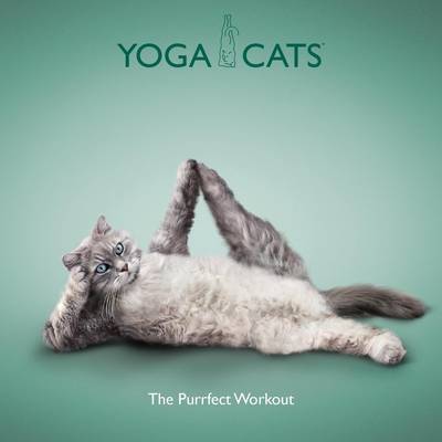 Book cover for Yoga Cats: The Purrfect Workout