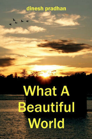 Cover of What a Beautiful World