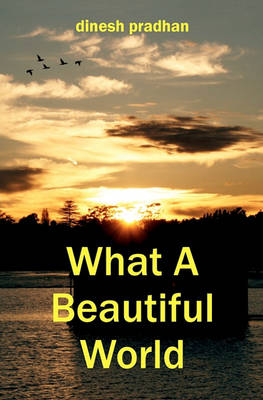 Book cover for What a Beautiful World