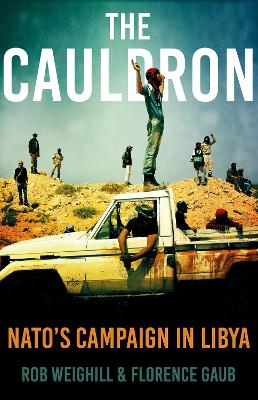 Book cover for The Cauldron