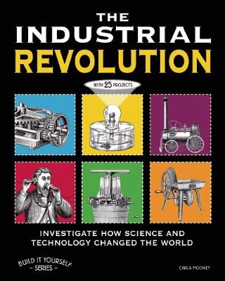 Book cover for THE INDUSTRIAL REVOLUTION