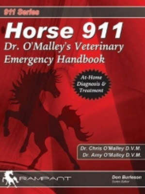 Book cover for Horse 911