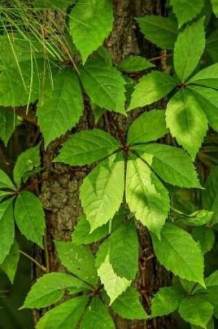 Cover of Virginia Creeper (Parthenocissus Quinquefolia) Plant Journal