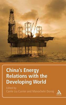 Book cover for China's Energy Relations with the Developing World