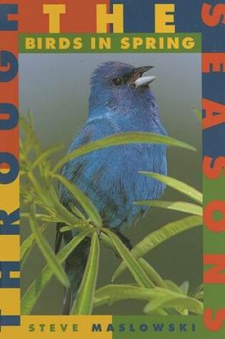 Cover of Birds in Spring