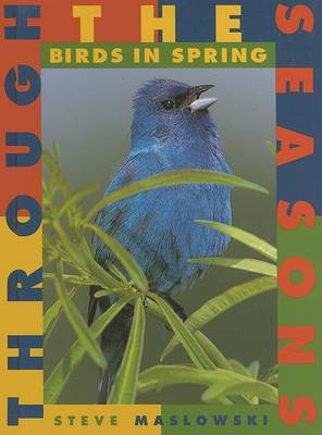 Book cover for Birds in Spring