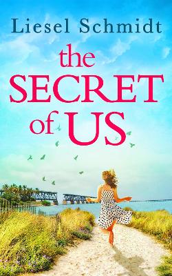 The Secret Of Us by Liesel Schmidt