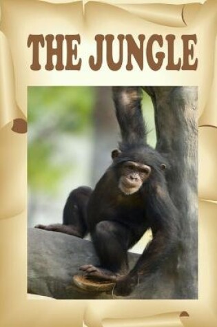 Cover of The Jungle