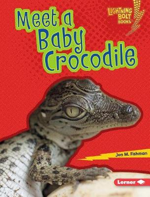 Cover of Meet a Baby Crocodile