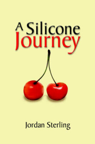 Cover of A Silicone Journey