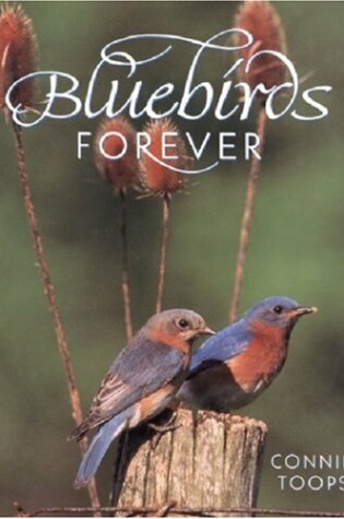 Cover of Bluebirds Forever