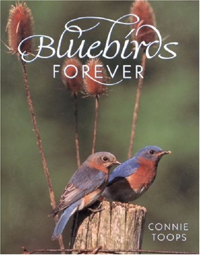 Cover of Bluebirds Forever