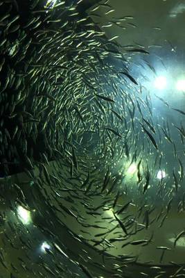 Book cover for A School of Fish in an Aquarium Marine Life Journal